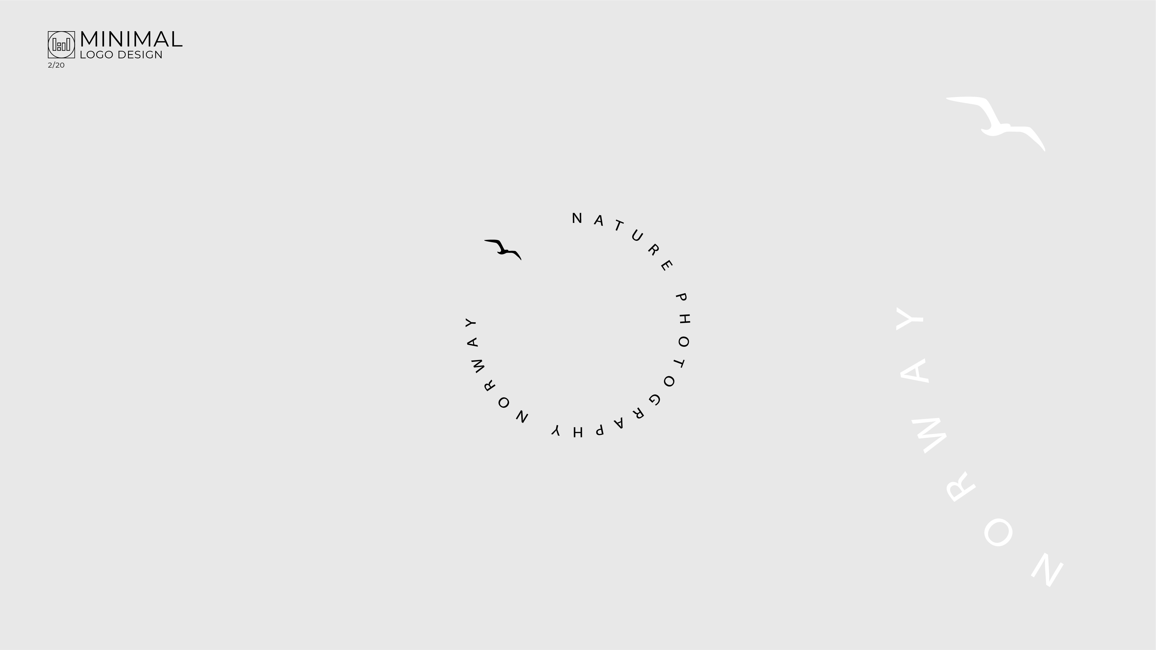 logo design